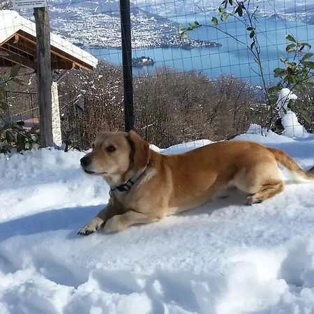 شقة I Faggi Casa Vacanze